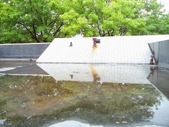 Standing water on flat roof.