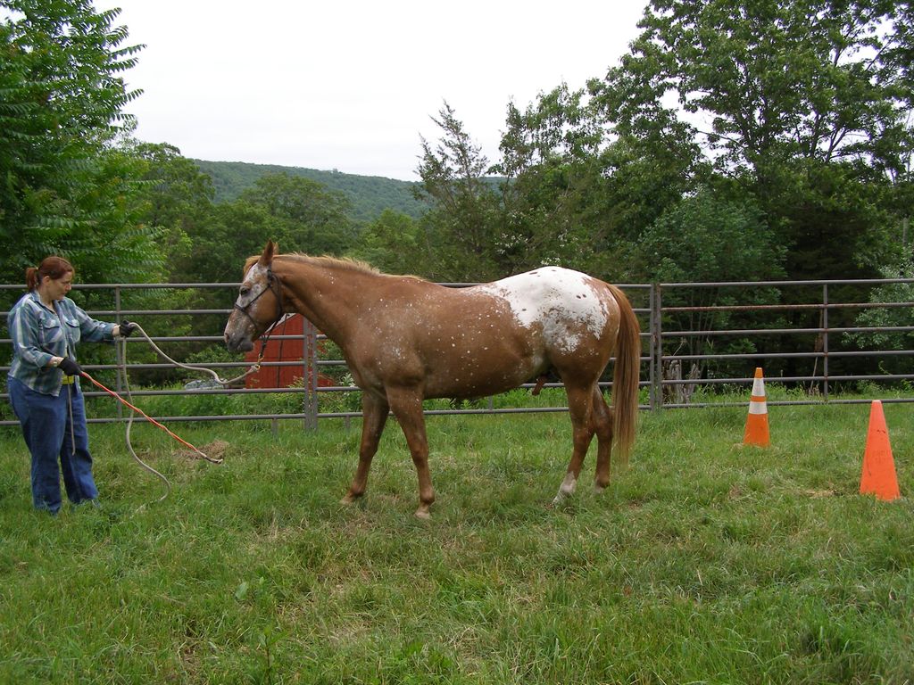 Eliza practices the Yo Yo gamewith Rancher.  He is