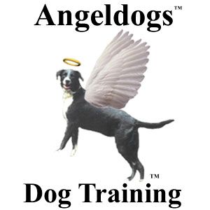 Angeldogs Dog Training
