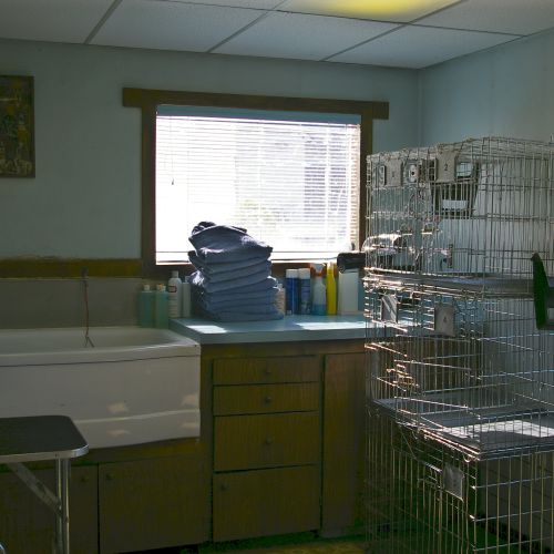 The Grooming Room at Portneuf Kennels