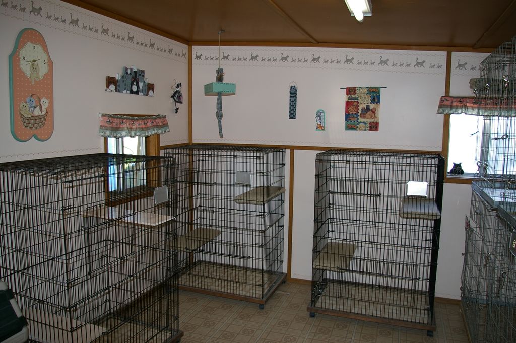 Inside the Cat House