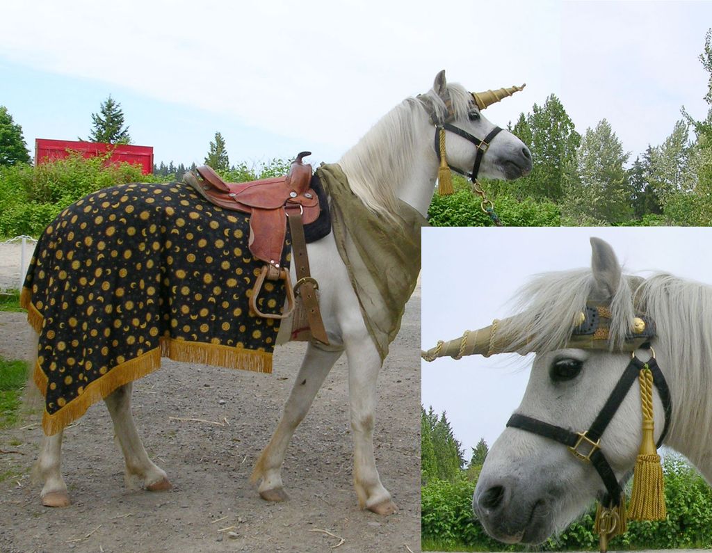 We have unicorns!