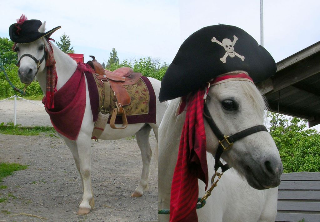 Pirates!