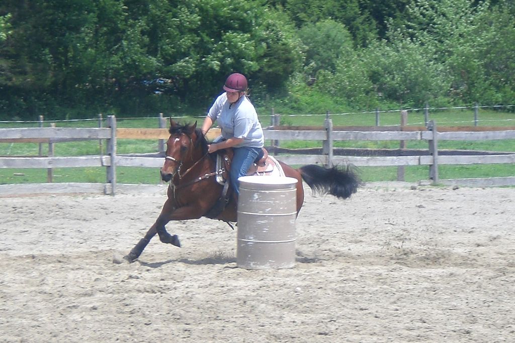 We participate in local horse shows & gymkhanas.