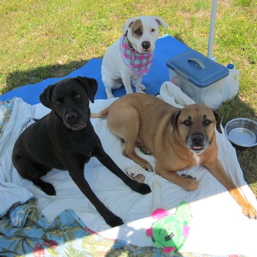 Charo hanging out with her friends Bentley and Mer