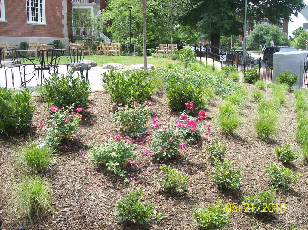 Plantings