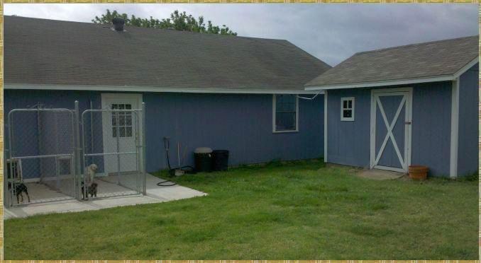 This is the yard where the boarding dogs exercise 
