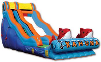 Big Kahuna water slide is one fo the most requeste