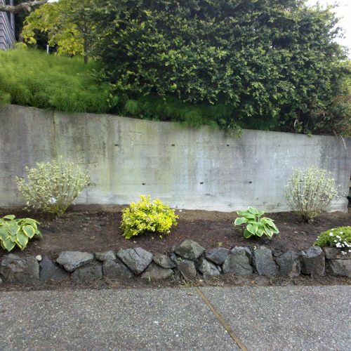 Raised planter with rock border.