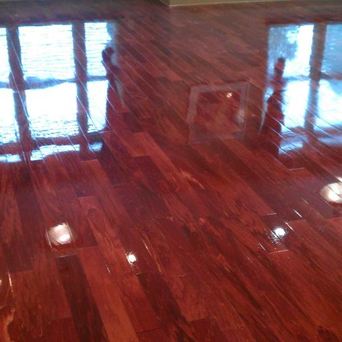 Cherry Wood Floor (look at the shine!)