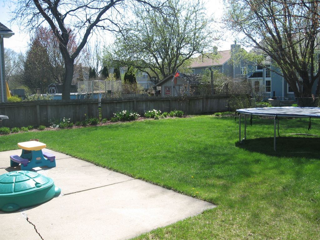 Affordable homes with fenced yards and space for t