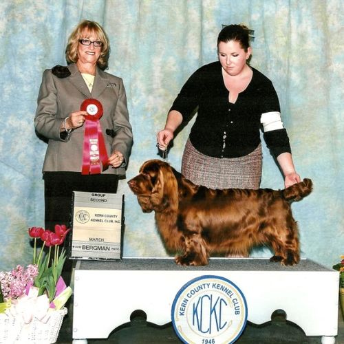 Kern County Kennel Club, Sporting Group II - Susse