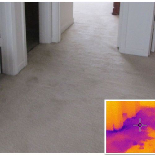 Water Damage with Infared Imaging