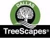 Accent TreeScapes Tree Service