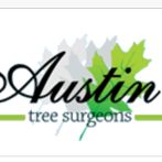 Austin Tree Surgeons