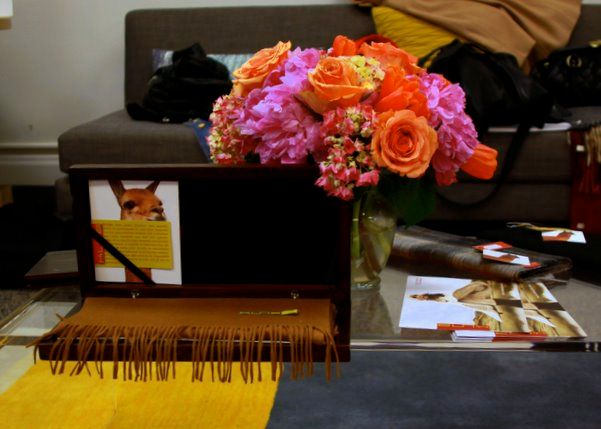 Alpaca Collections trunk show in San Francisco at 