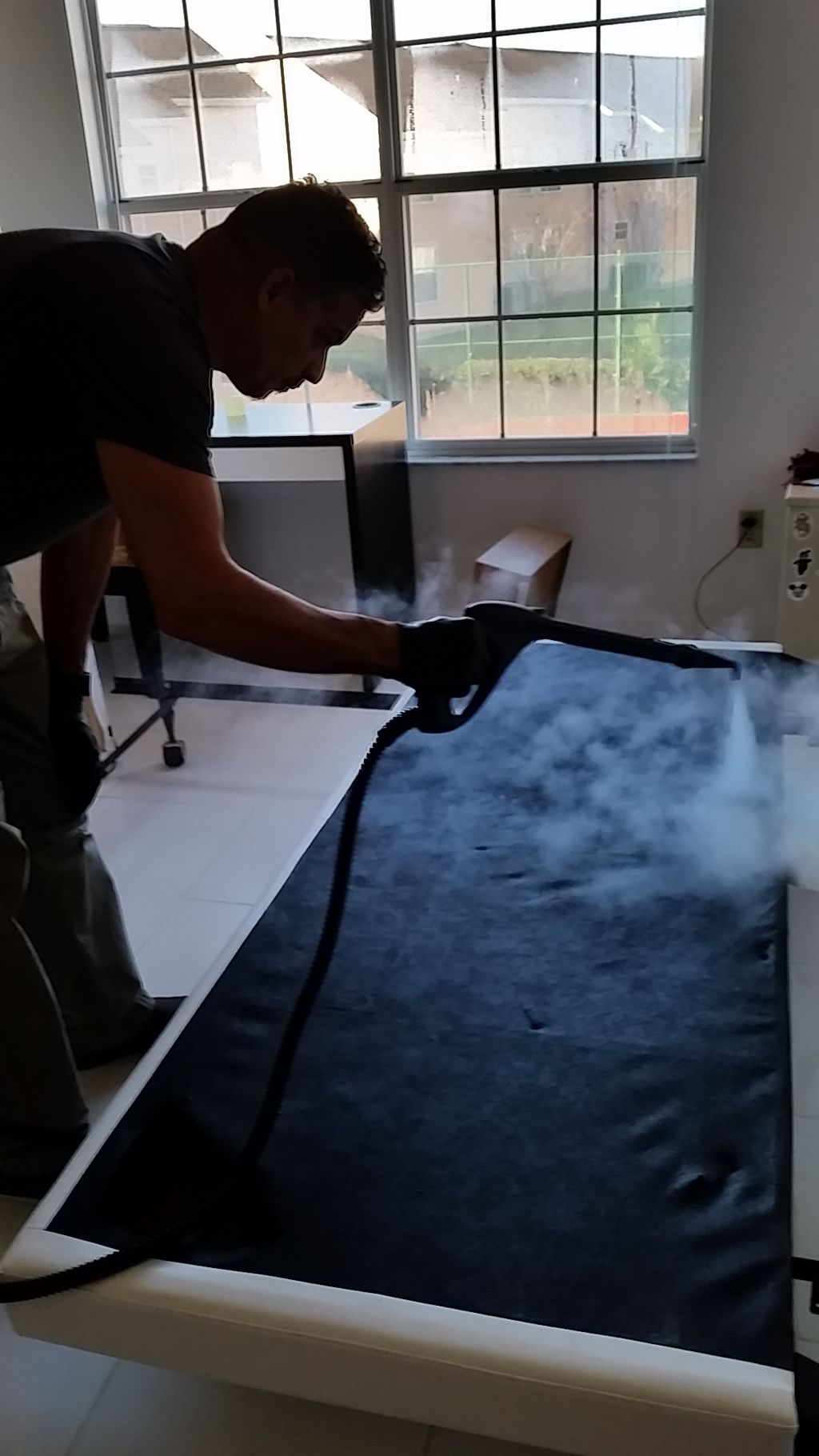 steaming out bed bugs