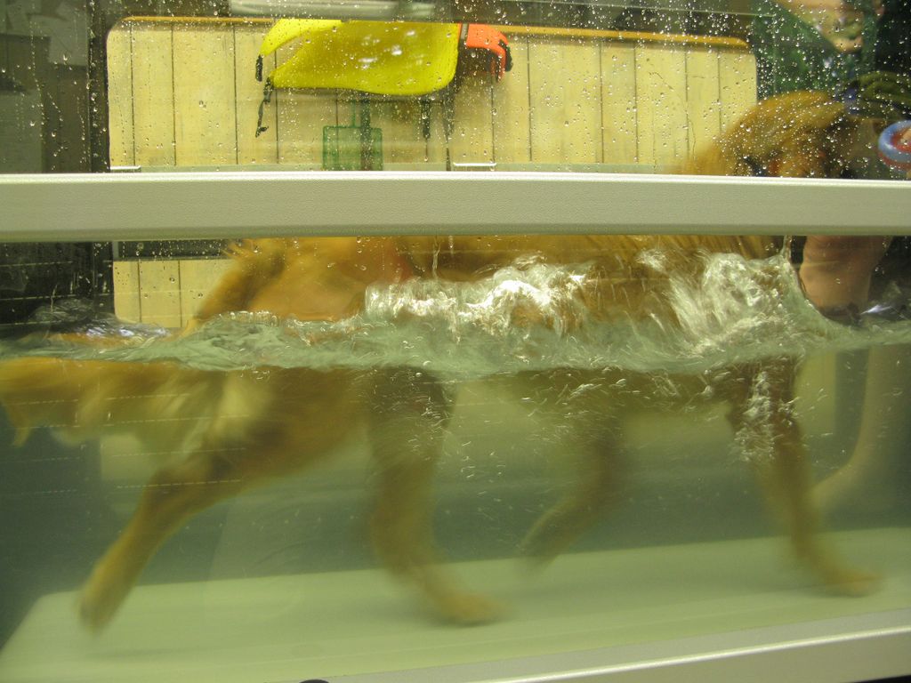 We love the water and the great workout!!