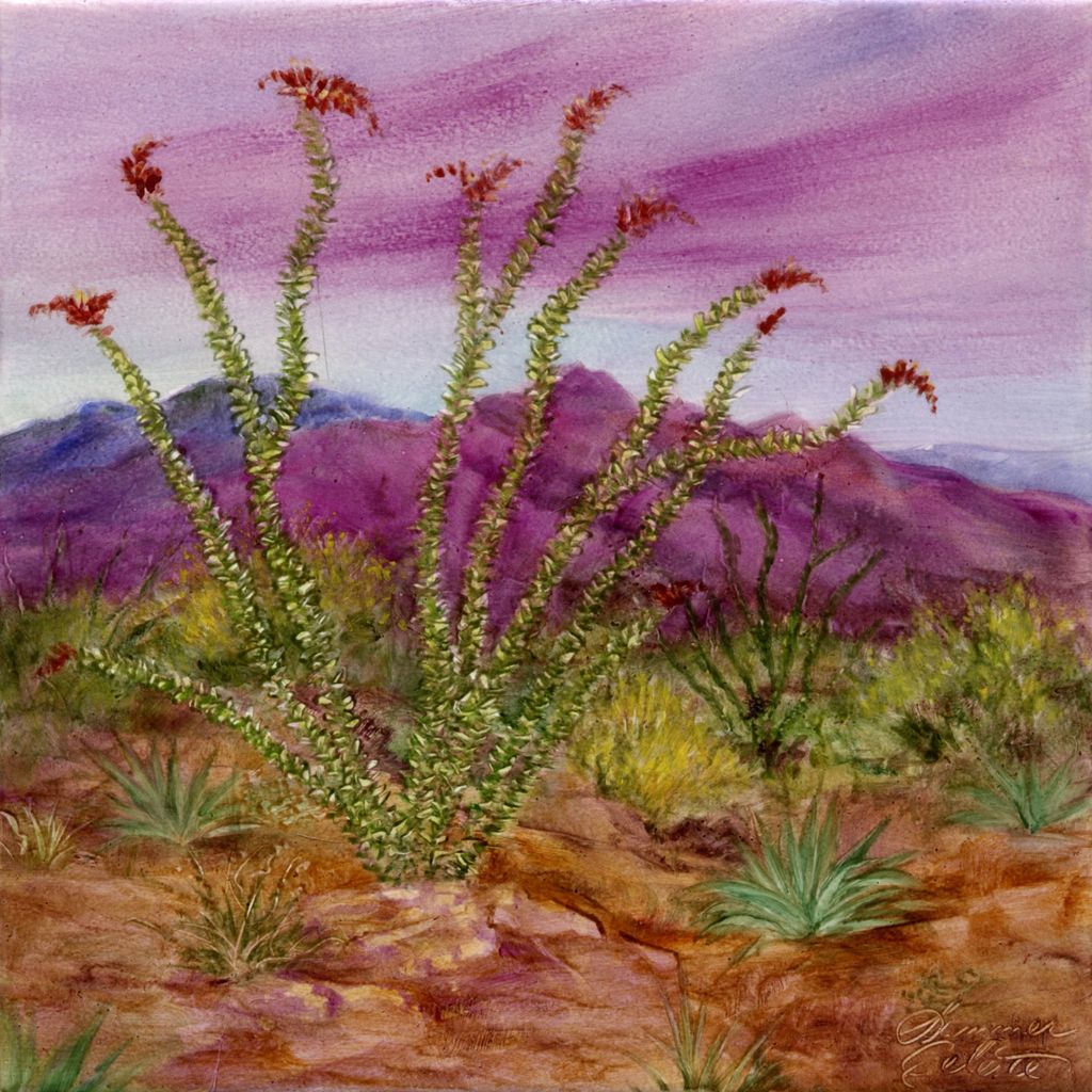 Tucson at Sunset