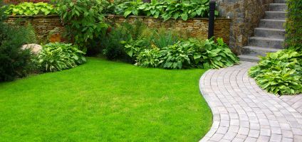 organic lawncare