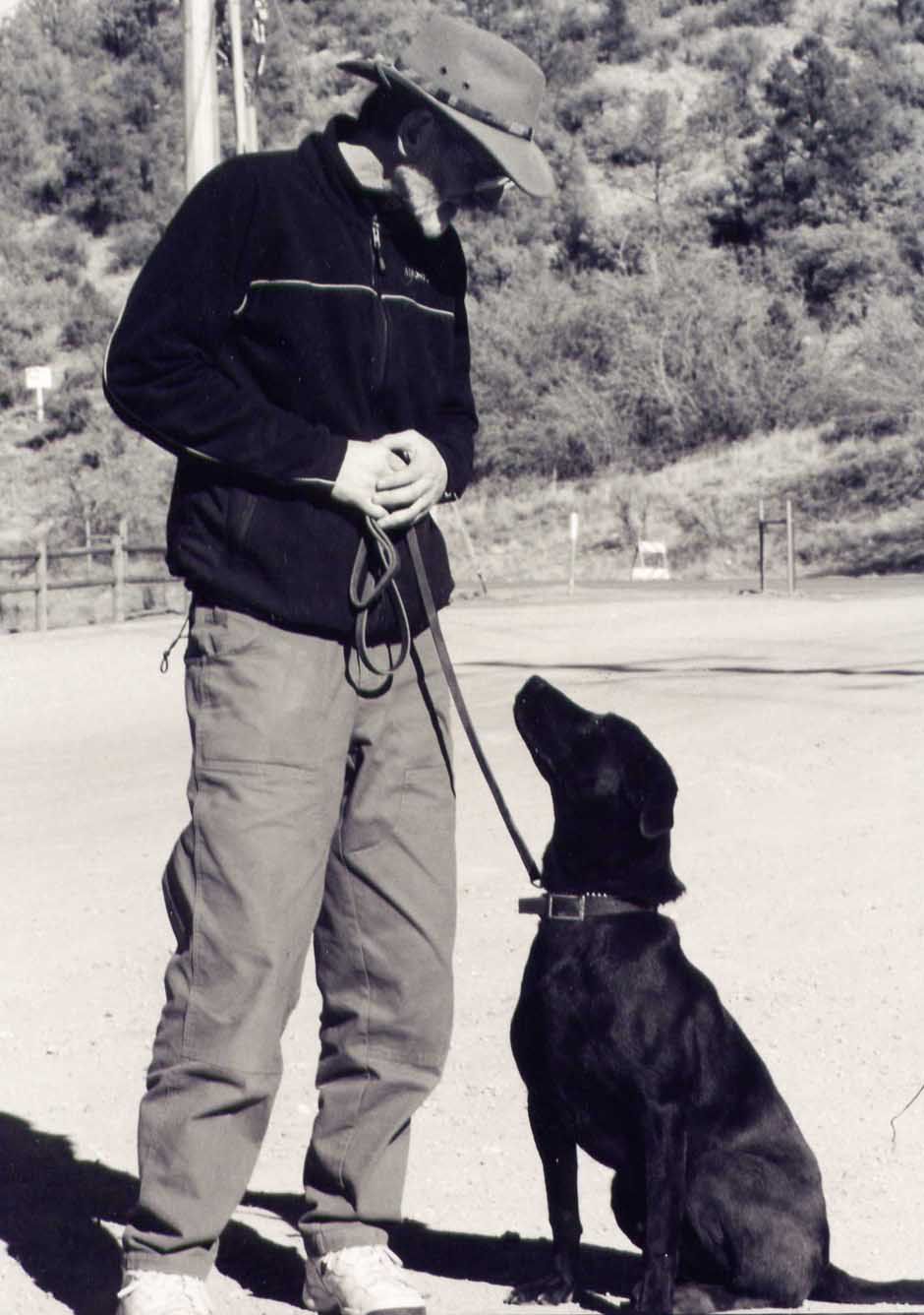 Dancer the Assistance dog.  Wheelchair assistance 