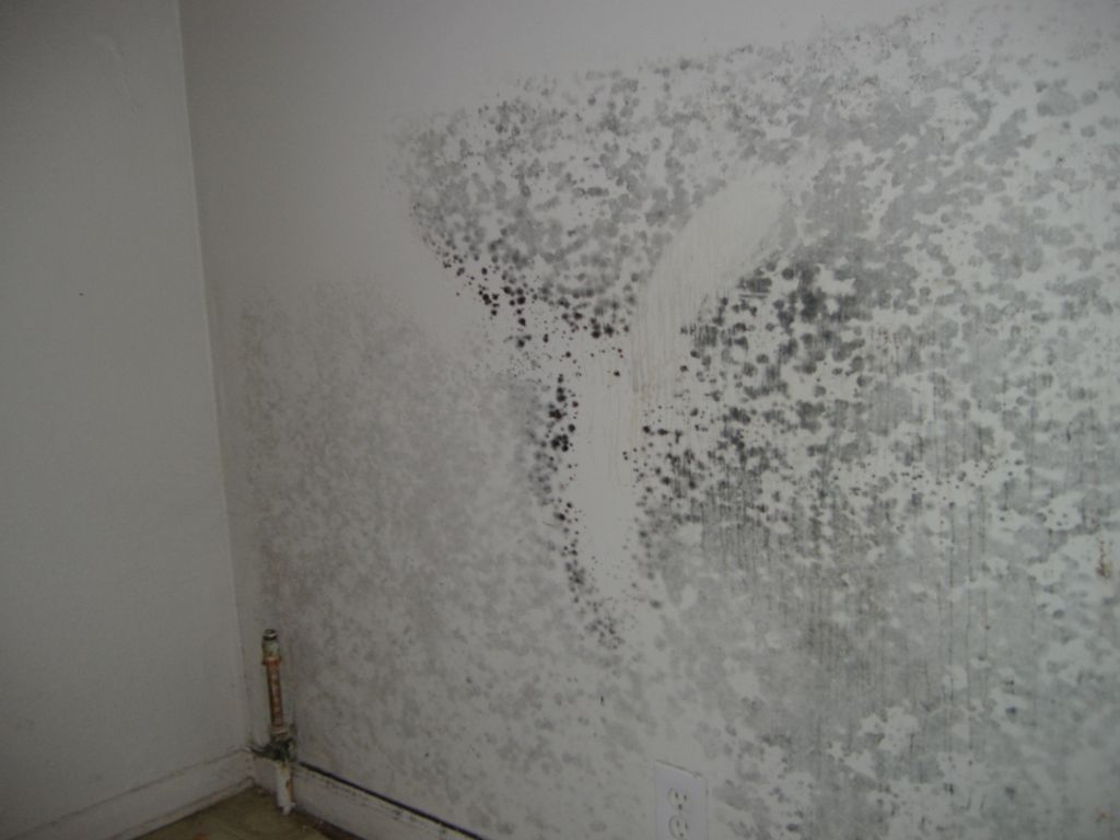 Before remediation