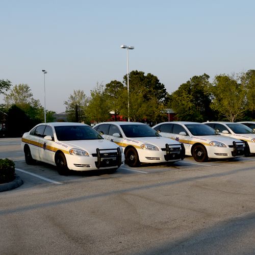 Patrol fleet at the office