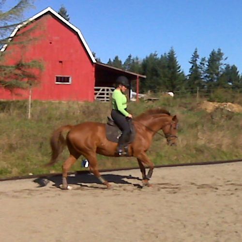 Student Leah and her mare Roza practicing at home