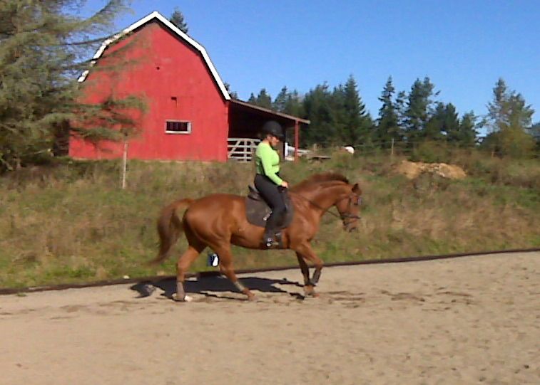 Student Leah and her mare Roza practicing at home
