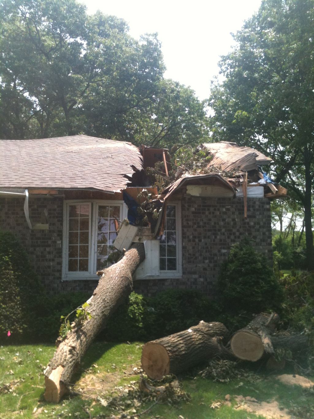 Tree through a house after a severe storm.