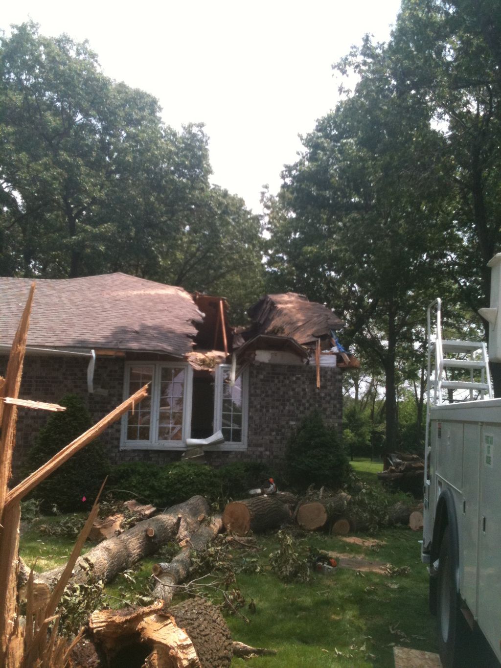 Tree out of the house only after 1 hour of work. T