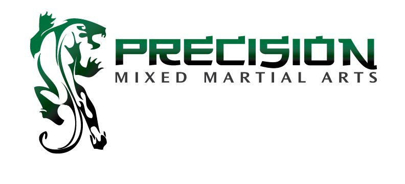Precision Mixed Martial Arts
