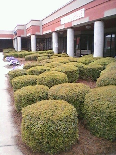 I do landscaping/shaping and manual labor, as well