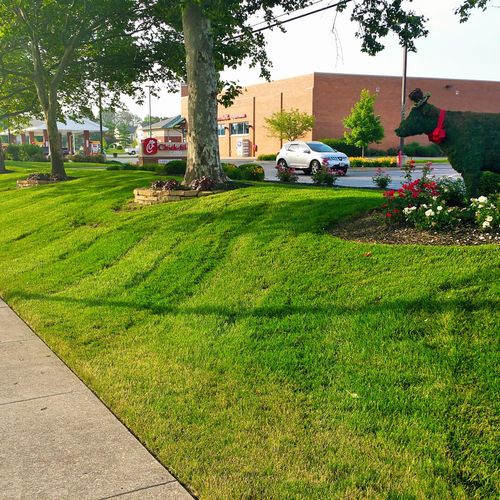 Commercial mowing