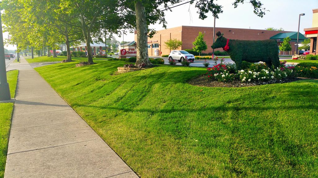 Commercial mowing