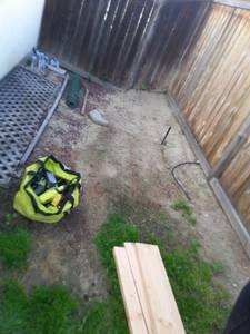 Location selected for raised garden bed