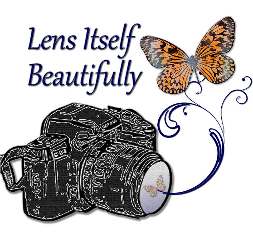 Lens Itself Beautifully