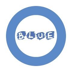 Blue Networking Inc.