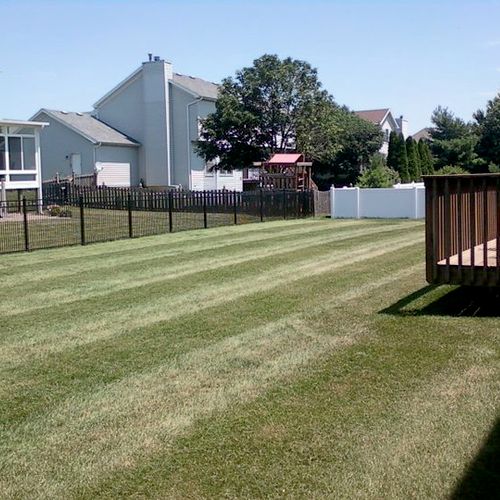 Residential Lawn Mowing 
Normal, Il