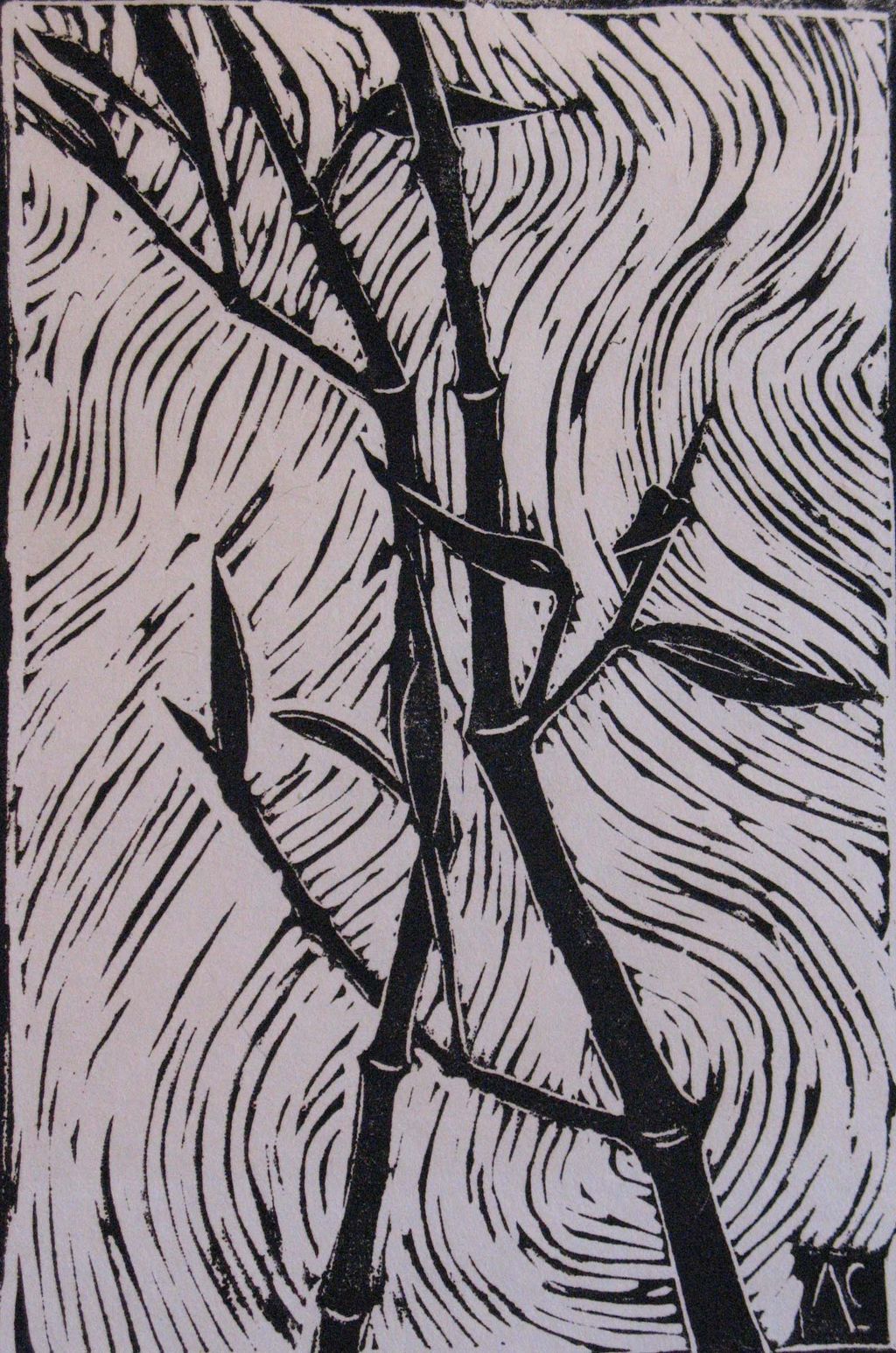 Bamboo
10X16
woodblock on Japanese paper