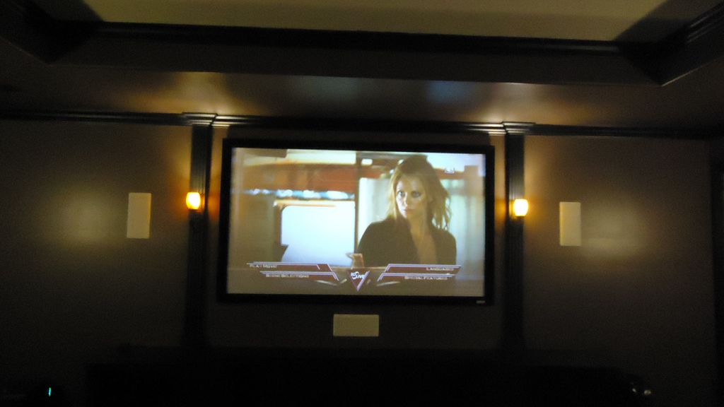Fully customized theater room-Client picked everyt