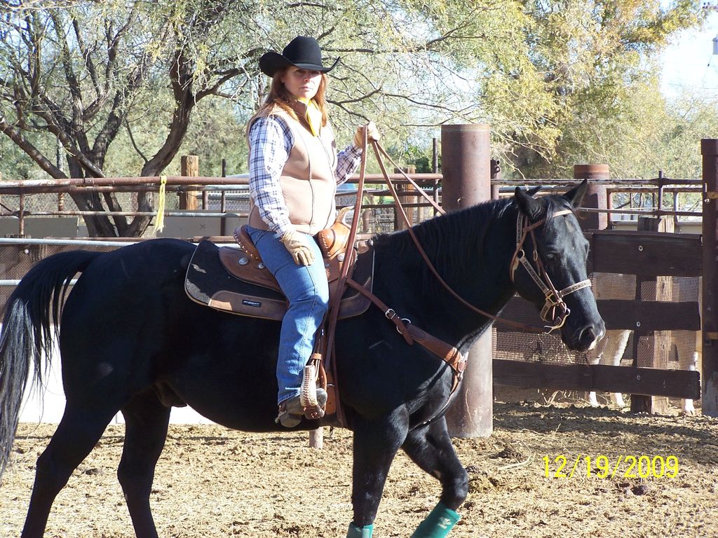 Arizona Horseriding Adventures