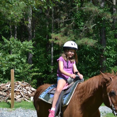 On Farm Pony Rides