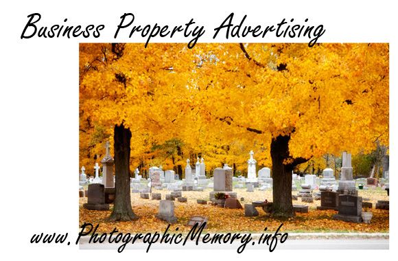 Your business property photos for your advertising