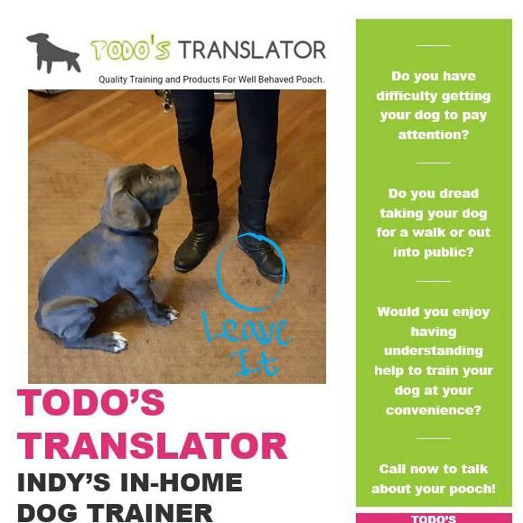 Todo's Translator Indy's In Home Dog Trainer