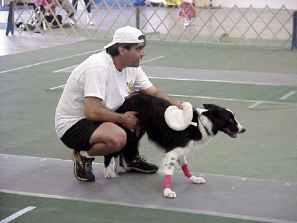 Flyball