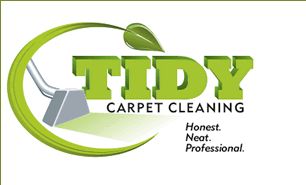 San Jose Carpet Cleaning By Tidy Green Cleaning