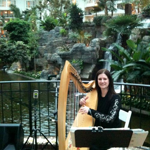 playing Celtic harp at the Gaylord Opryland Hotel 