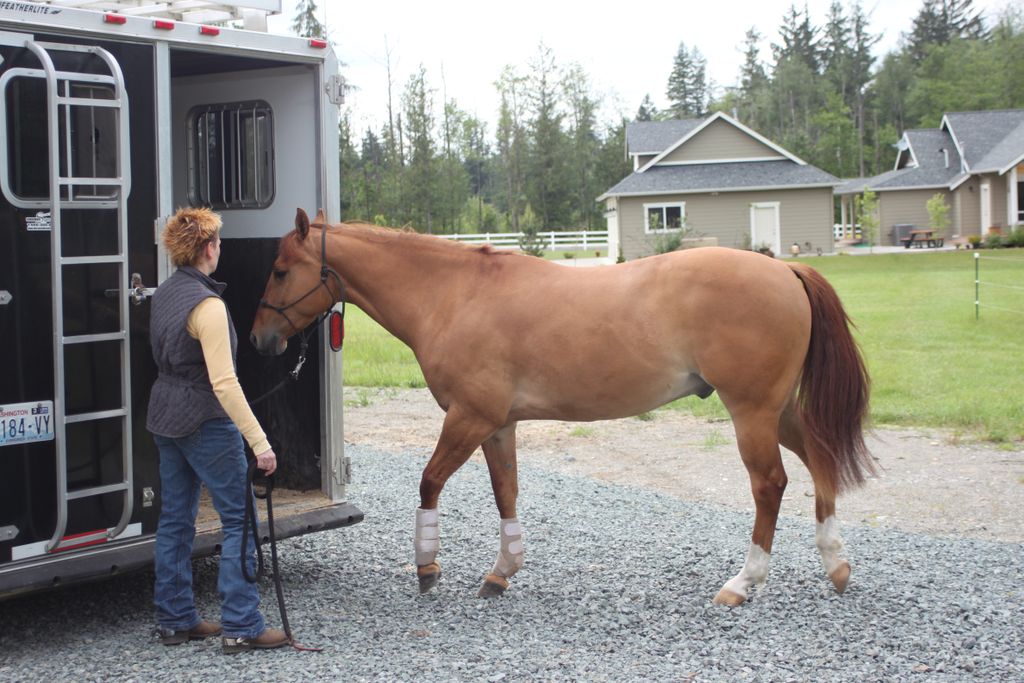 Karen McCoy Horse Trainer - Way Out Ranch