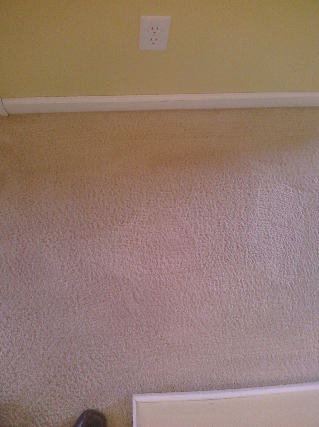 Carpets after dry cleaning
